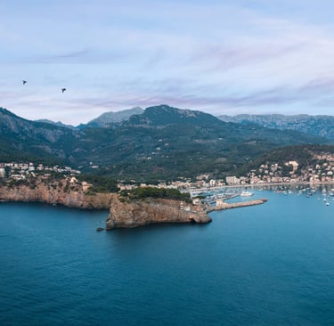a view of a bay in Soller Mallorca with a bird flying over the water
