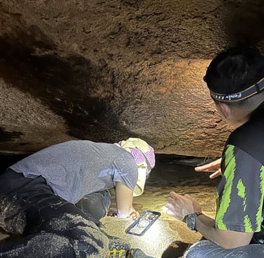 NATURETECH ecologist conducting herpetofauna survey in Malaysian forest habitat.