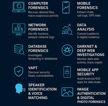 Leading Cyber Forensic Experts  Court Admissible Evidence 8977308555 cyber privilege No.1 forensic