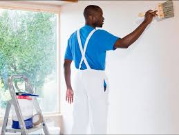 a man in a blue shirt and suspenders is painting a wall