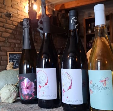 vini romagnoli bertinoro sangiovese montepulciano pagadebit metodo classico