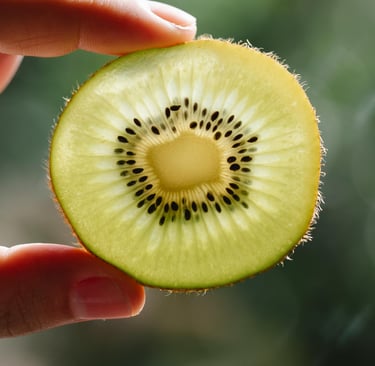Use Telehealth for Weight Loss weight-rx