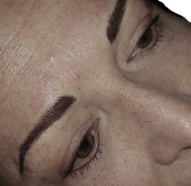 added to existing tatoo eyebrows to look more natural