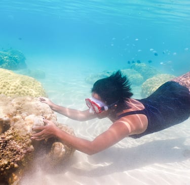 a woman in a swimsuit is swimming in the ocean