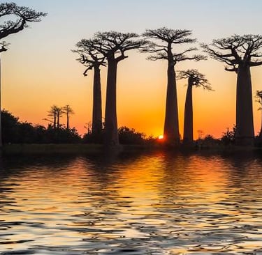 Morondava coucher de soleil mariage Madagascar