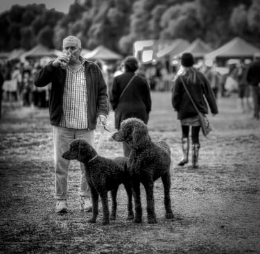 The street photography of Peter Pickering captures man drinking from a can with his 2 poodles beside