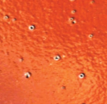 lỗi sơn tĩnh điện bị mắt cá