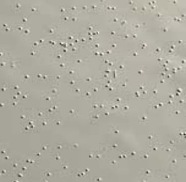 Sơn tĩnh điện bị châm kim