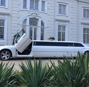 limuzinas Lambo Doors