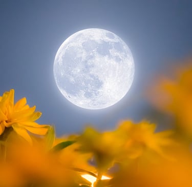 lua cheia das flores que ocorre em maio no hemisfério norte também conhecido como micro lua