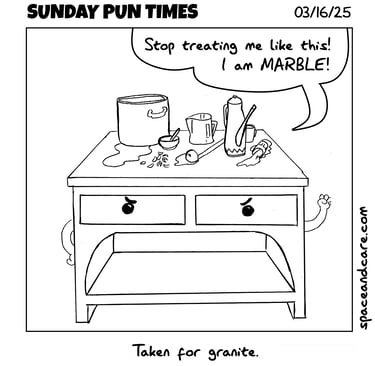 One-panel comic: A messy marble kitchen counter complains. Caption: Taken for granite.
