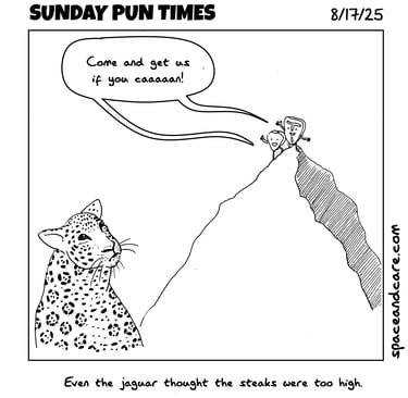 A jaguar looks mournfully at two steaks it can't reach.
