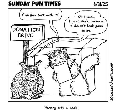 A rabbit donating a comb to a cat.