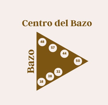 Centro del bazo diseño humano