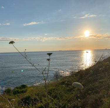 Mi experiencia con el mindfulness