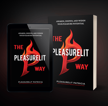 The Pleasurelit Way book cover