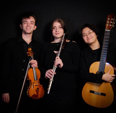 a group of musicians playing instruments together