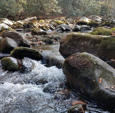 river rocks on a cold winter's day