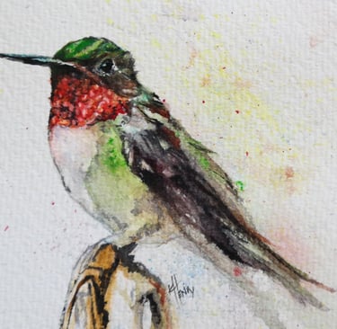 a ruby-throated hummingbird sitting on a branch