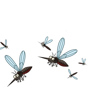 Villeneuve-Loubet alerte aux moustiques