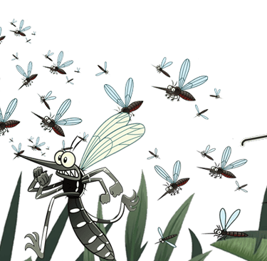 tiger mosquito expert in action in Saint-Laurent-du-Var