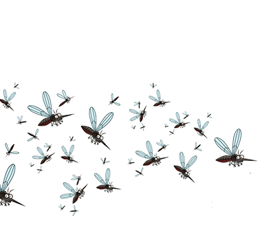 mosquito expert in action in Antibes