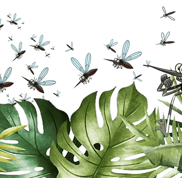 SuperMoustique en action