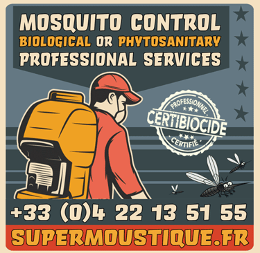 Intervention rapide moustique hôtel 06