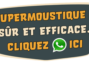 CTC WHATSAPP CONTACT CANNES