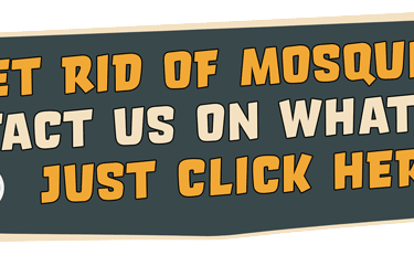 WhatsApp contact banner for tiger mosquito capture