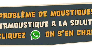 Bouton WhatsApp
