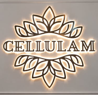 huruf timbul dan dekorasi dinding salon dengan material stianless steel mirror hallo efek karya AFL.