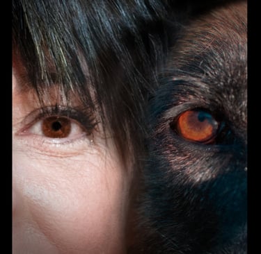 portrait photo par isawmagic en belgique