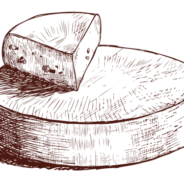 illustration of cheese blocks