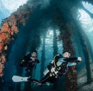 two scuba divers underneath a jetty