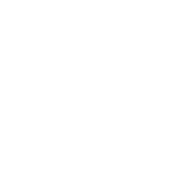 And icon showing a shield