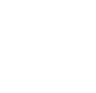 An icon showing a lock