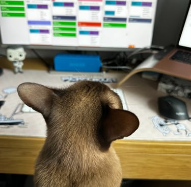 a burmese chocolate cat working in front of a monitor