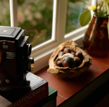 An old came and some chestnuts on the windowsill. Author: Slawek Dejneka