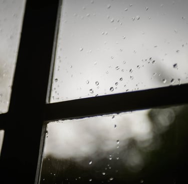 A picture with a rain droplets on the glass. Author: Slawek Dejneka
