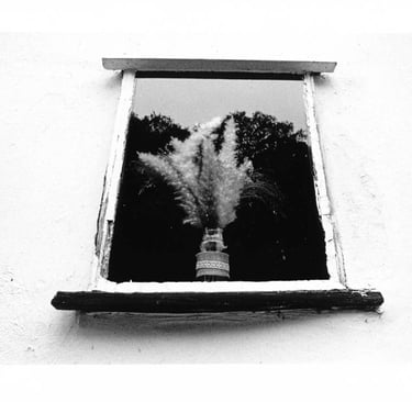Window in the old house with a flowers on a windowsill. Creator: Slawek Dejneka