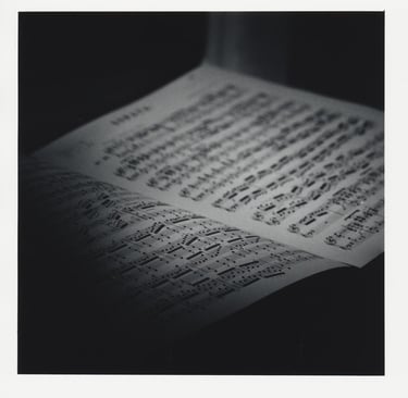 Picture of Beethoven's sonatas. Creator: Slawek Dejneka