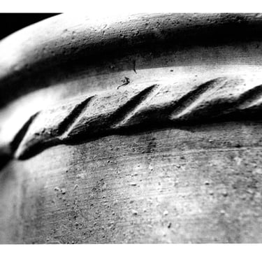 A black and white picture of a garden pot lit with light and shadows in the afternoon. : Slawek Dejneka