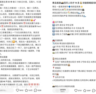 Examples of Xiaohongshu Post Caption