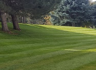 Professionally mowed, striped lawn