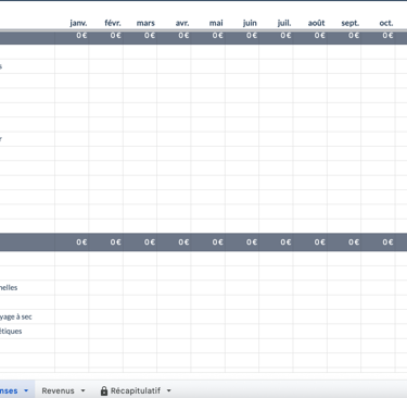 Vue annuelle du budget