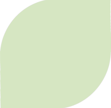 a green leafy plant with a leafy green background