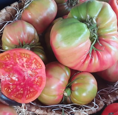 a basket of tomatoes and tomatoes on display in a basket
