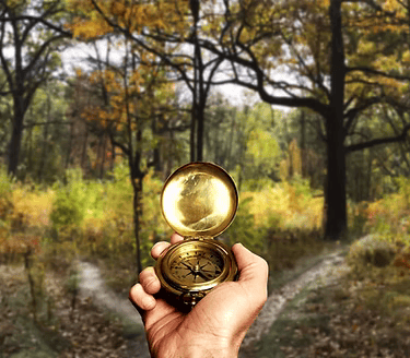 Hand holding gold compass at forest crossroads representing strategic project direction