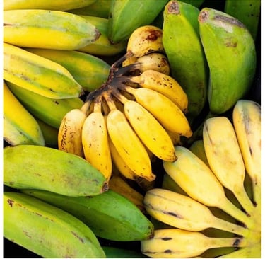 Ingredient principal de fabrication de notre vin alcoolique and non-alcoolique, la banane